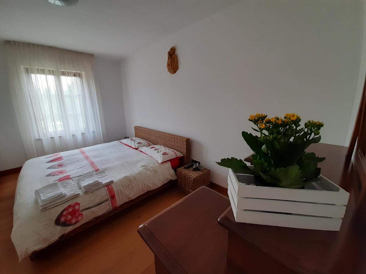 San Marcello Residence Фельтре Екстер'єр фото